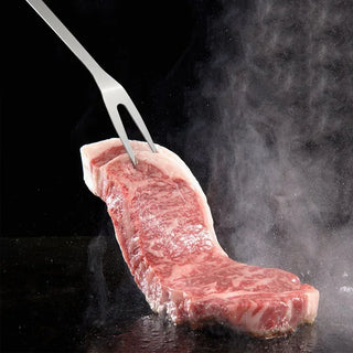 Kit Utensílios para Churrasco Profissional em Aço Inox com Bolsa