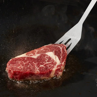 Kit Utensílios para Churrasco Profissional em Aço Inox com Bolsa